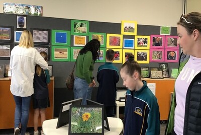 Year 4 Photo Gallery Student Photography Auctioned.jpg